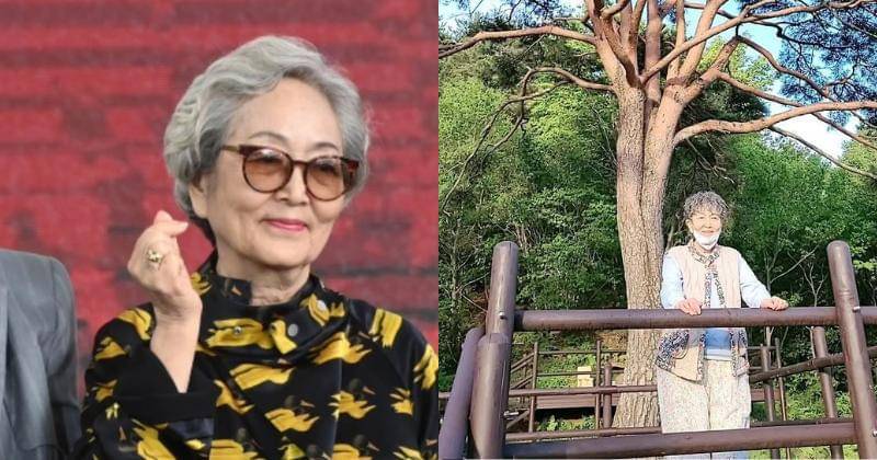 Instagram.com/kimyoung_ok